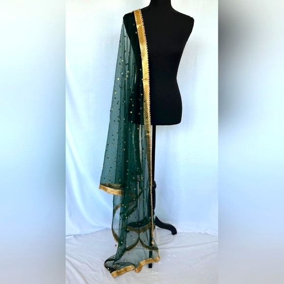 Net Dupatta with mirrors/attached with gold bead border /chunni - Picture 1 of 1